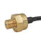 Brass G1/4 Cable Outlet Brass 4.5v HVAC Pressure Transmitter